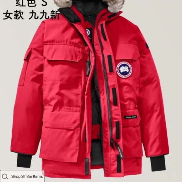 canada goose - Picture 1 of 10